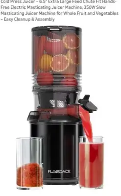 Masticating slow juicer