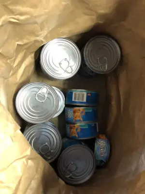 19 cans of 9 lives assorted cat food