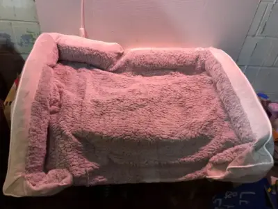 Large dog bed (no stuffing)