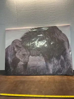lion black & white home decor