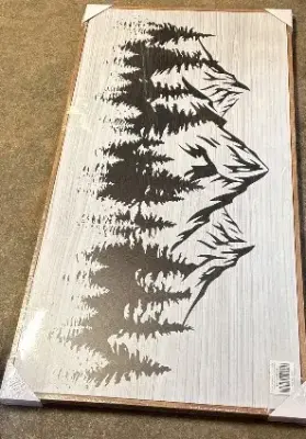 40 x 20” canvas print