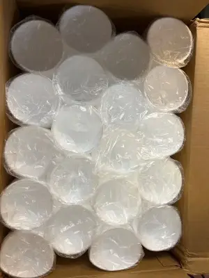 16oz foam cups big box