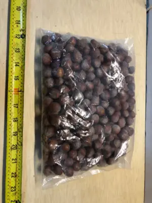Bag of nuts (opened)