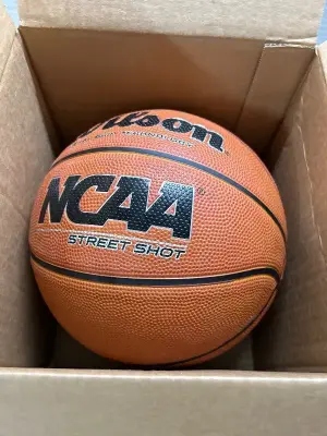 Wilson basketball