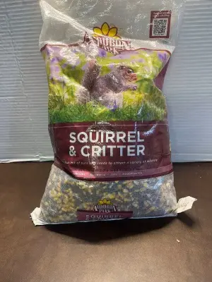 squirrel feed