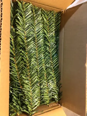 Box of pine branches