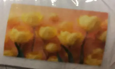 Wall sticker paper pink tulip patter 82x118