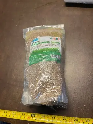 2ct organic wheatgrass seeds