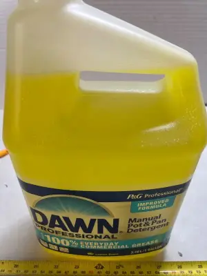 1 gallon of dawn, professional manual pot, and pan detergent