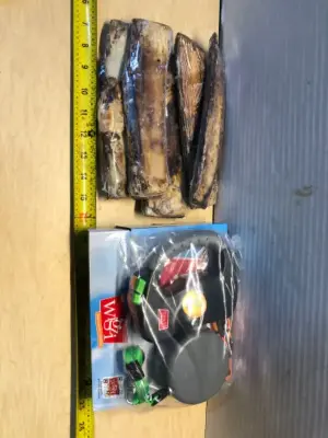 5 dog bones , dog leash