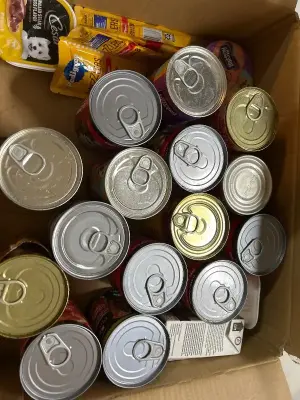 variety, wet dog food