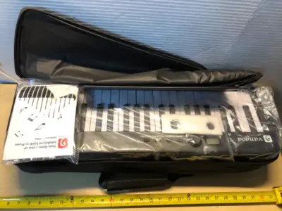 Foldable keyboard in case