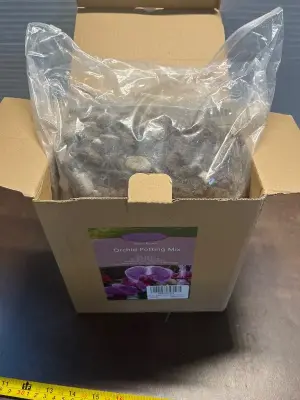 orchid potting mix