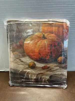 Fall pumpkin pillow covers 20 x 20