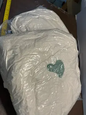 2pc 10/8in pumpkin pillow