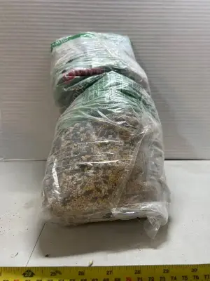 10 pounds of ultimate wild bird birdseed