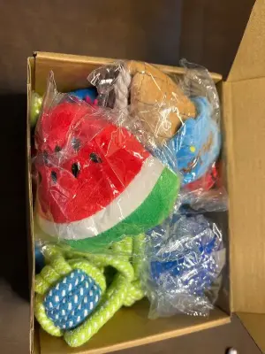 box of dog toys
