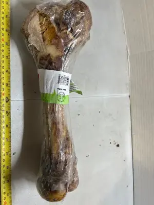 “ mammoth bone” dog bone