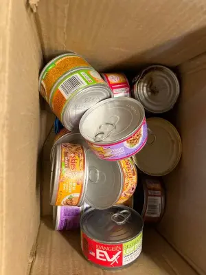 box of wet cat food