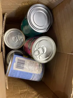 box of wet dog food