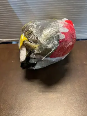 large dinosaur dog costume