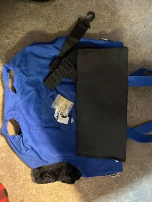 cat travel bag