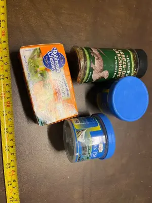 freeze-dried grasshopper , river fish salmon in sunflower