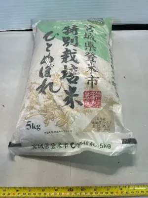 Big bag of rice
