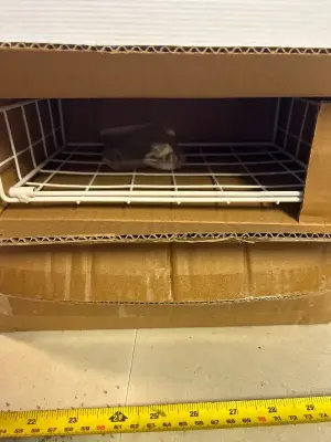 to count, projector shelf for wall