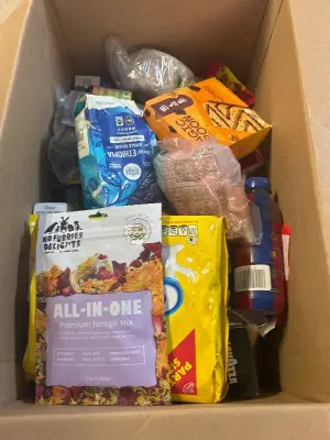 food mystery box