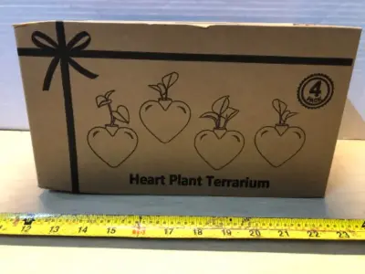 4 pack heart plant terrarium