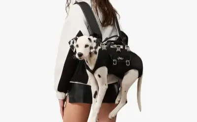 Dog carrier backpack unknown size