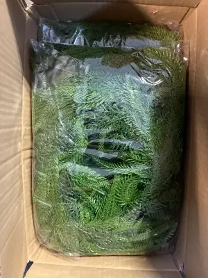 box of reef pickings