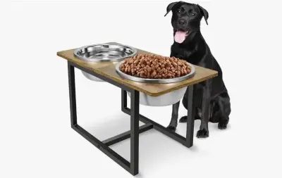 Elevated dog bowl (similar to image)