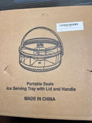 portable seals ice serving tray with lid & handle
