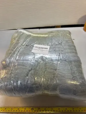 backseat pet bed mat