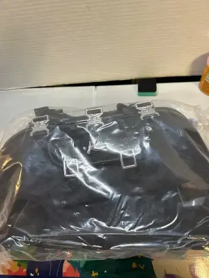 dog carrying stair lift leg support