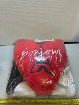 40” x 50” pillow and throw set Emily in Paris