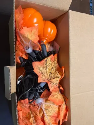 fall decor lights