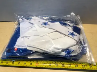 2pc size M Dallas cowboys cheerleader costume