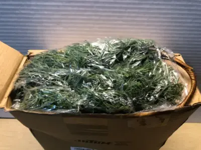 6pc fake juniper branches