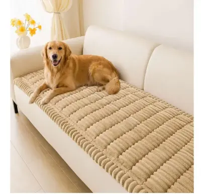 Unknown size couch cover for dogs