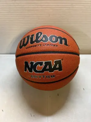 wilson basketball