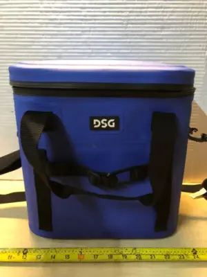 DSG sports cooler (used)