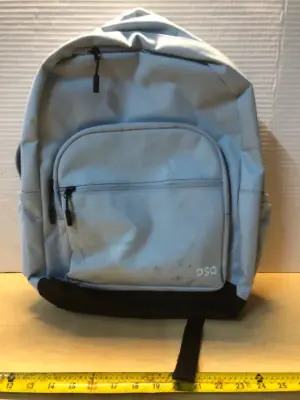Light blue DSG backpack (zipper broke )
