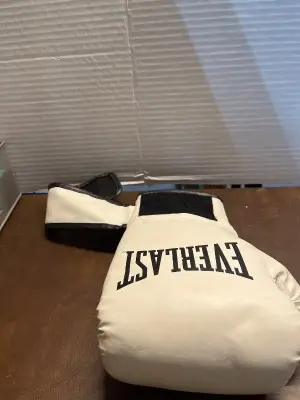 everlast boxing glove