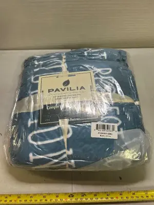 pavilia 50”x60” plush friendship blanket