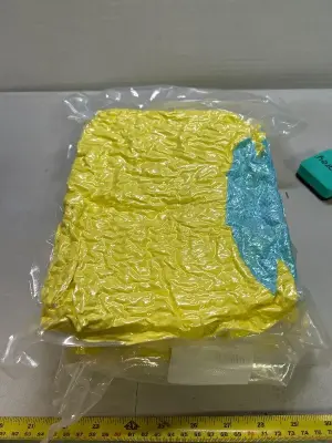 2 count shoe washing bags