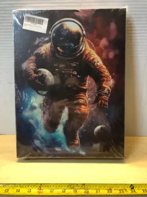 3 pc astronaut canvas
