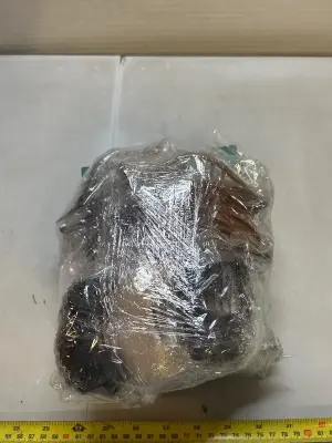 lot of hair clips/tools